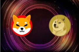 DOGE:如果你有 1,000 美元，你会购买柴犬还是狗狗币？看看人们怎么说_狗狗币2023年底会涨到多少