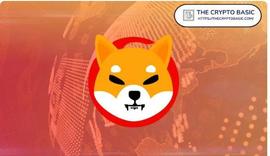 PAY:Shiba Inu 现在通过这种合作伙伴关系被全球 400 多家商家接受_yooshi币前景