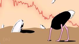 加密货币:「崛起社区」主要加密货币交易所交易量削减超过 30%_Bitstamp
