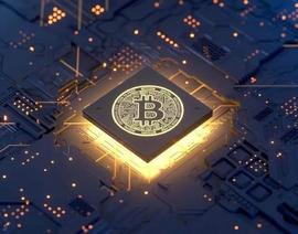 BTC:比特币：如果Cathie Wood的预测成真，1000 美元能让你赚多少钱？_比特币