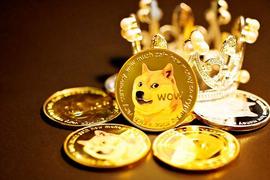 TSC:由于 Elon Musk，Dogecoin 会出现牛市吗？这对大眼币有何影响？_FRZSSCOIN价格