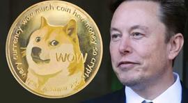 OIN:狗狗币：Elon Musk在价值2580亿美元的DOGE诉讼中失去了主要律师_COIN