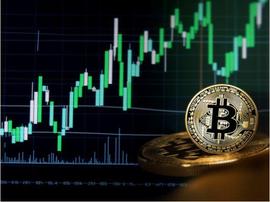 NSC:比特币：用户对序数失去兴趣了吗？该数据表明……_INS
