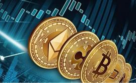 TEL:「崛起社区」全部价格不到 1 美元！7月前关注这3种山寨币！_Castello Coin