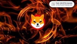 RSC:单个钱包一天烧掉 3050 万柴犬，一周烧掉 6300 万_JRSC币