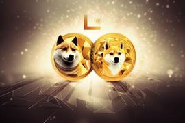 BTC:尽管莱特币领先两年，但狗狗币如何击败莱特币_比特币目前市值总额