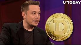 WIT:Dogecoin的Billy Marcus和Elon Musk将关系提升到新水平方法如下_TER