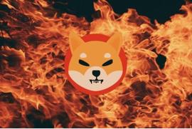 LTP:Shiba Inu 5 月销毁量飙升，SHIB销毁仅9天就突破56亿代币_BPUNKS