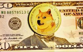 DOGE:狗狗币下跌超过 7%，而社交量飙升_PUPDOGE币