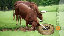 BAR:比特币目标是 34,000 美元！公牛队面前只有一个障碍！_SHIBO