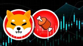 SHIBA:BONE 价格上涨，因为代币成为 SHIB 军队的新里程碑_bond币为何暴涨