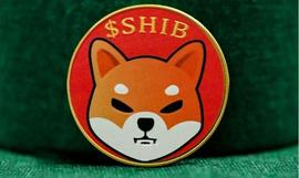 ORT:Shiba Inu ($SHIB) 烧伤率猛增8000%，因为Shibarium推出烧伤机制_portal币最新消息