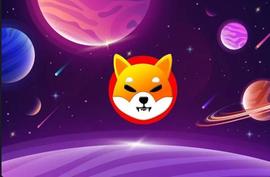 SHIBA:1000 美元，如果柴犬夺回 ATH，你能赚多少钱？_SUSHIBEAR币