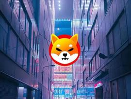 PEPE:「崛起社区」Shiba Inu：2023 年 6 月中旬 SHIB 价格预测_Samoyed Fan Token