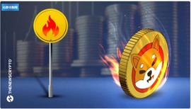 MAC:Shiba Inu 燃烧率暴跌 100%，过去 24 小时内 SHIB 燃烧为零_ING