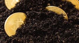 CANE:无法挽回丢失的 BTC 数量现已达到 600 万——Cane Island 经理_ISLA