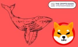 BTC:「崛起社区」顶鲸增加 4.15T 柴犬，成为第 27 大 SHIB 持有者_BTCS价格