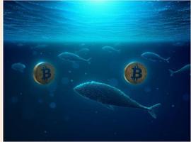 BTC:「崛起社区」比特币：机构投资者发现比特币积累的新机会_BIN
