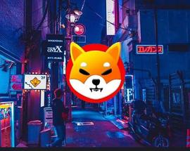 AINU:Shiba Inu 价格预测：2023 年 5 月_SHI