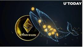 BLOCK:鲸鱼中的以太坊增持量飙升_pototoken