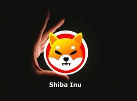 SHI:柴犬：从 2022 年 6 月到 2023 年，SHIB 删除了多少个零？_SHIB