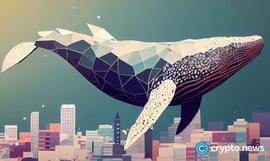 SOLA:鲸鱼通过 BTC、ETH、SHIB、SOL 的巨额交易掀起波澜_央行数字货币是加密货币吗