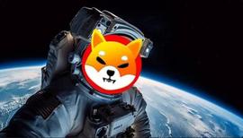 SIS:Shiba Inu：如果你在“今天”购买 SHIB，你可以赚 700 万美元_genesischain