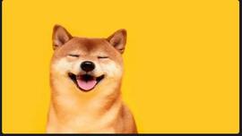 SHIB:「崛起社区」Shiba Inu：每日活跃地址季度增长 357%_ENT