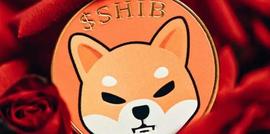 SHIB:Shiba Inu：Shibarium可能需要“几个月”才能带来积极的价格行动_SHIBA