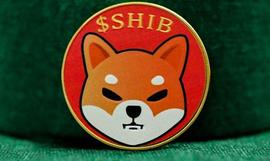 SHI:数据显示，顶级以太坊$ETH鲸鱼库存超过 56 万亿只柴犬（$SHIB）_AIN