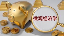 MAC:消费者剩余与生产者剩余的概念及联系_LINK价格