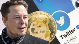 TER:狗狗币上涨，美国生产放缓，近期加密行情会怎么发展？_DOGE