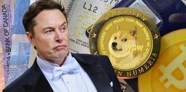 狗狗币:多次助攻狗狗币暴涨！马斯克却警告别全进DOGE，他为何这么说？_ASTROLION