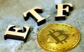 ETF:交易收入环比下降 更多区块链ETF可能会被退市_ARE