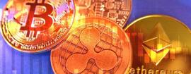 比特币:谁是赢家？今天的加密市场情况怎么样？_BRC