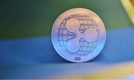PPL:XRP 鲸鱼和鲨鱼地址持有量在快速增持后创下历史新高_ripple币怎么买卖