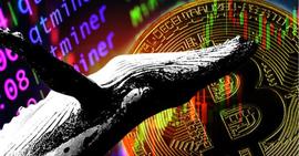 ONS:研究：鲸鱼自 2021 年以来一直在抛售比特币_Billiard Crypto Reward