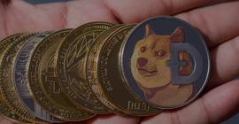 FORCE:这 5 种加密货币现在准备好上涨了吗？_CyberTime Finance