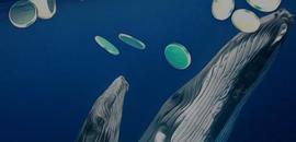 INK:鲸鱼现在关注的是哪些币？这些币会起飞吗？_LINK