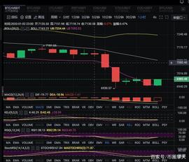 BULL:币圈擎天:BTC7000一线已然失守下方仍有空间_TOC
