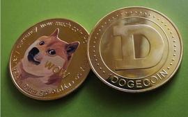 DOG:伊隆马斯克卸任 Twitter 首席执行官，这将是狗狗币的终结吗？_BABYDOGEKING