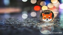 SHIB:柴犬：SHIB 能让你成为百万富翁吗？_yooshi币怎么样
