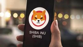 SHI:Shiba Inu (SHIB) 表现乐观，主要看涨走势正轨_ARI