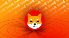 SHI:Shiba Inu：3500 名用户预测 SHIB 2023 年 4 月的价格_CHA