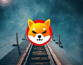 SHIB:在最近的购买量飙升之后，柴犬(SHIB)是否看跌？_ETC
