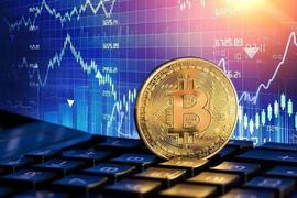 狗狗币:为什么今天比特币和加密货币上涨？_METADOGE