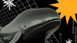 BTC:鲸鱼如何导致比特币（BTC）价格大幅波动_比特币价格