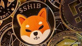 BSV:Shiba Inu 预计将上涨 300% 并达到 0.00003 美元：时间到了_sbtc币最新消息