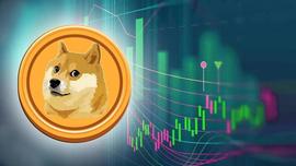 PROT:Dogecoin 鲸鱼正在逢低买入：DOGE 会引领模因币价格上涨吗？_加密货币市场还有未来吗现在