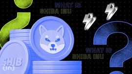 SHI:Shiba Inu (SHIB) 的价格是上涨还是下跌？_SHIBA